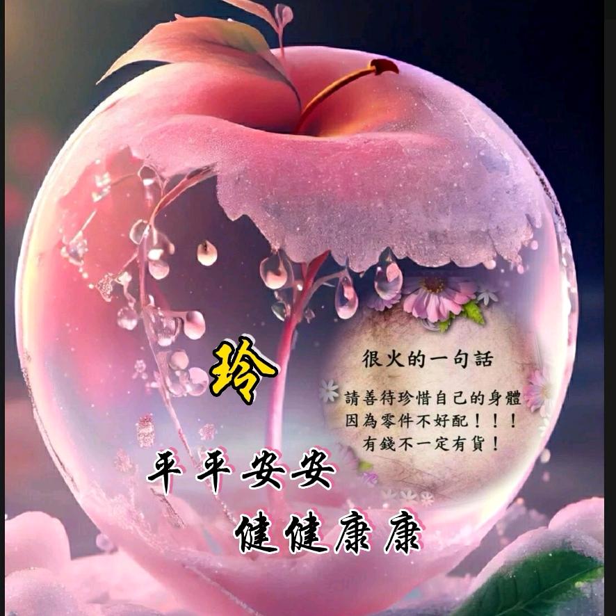 秋玲⛵️5237