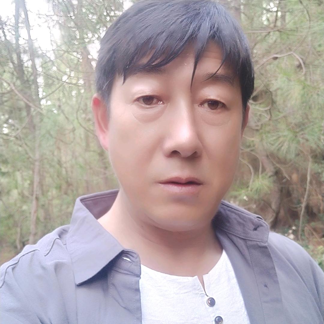 苍狼人生