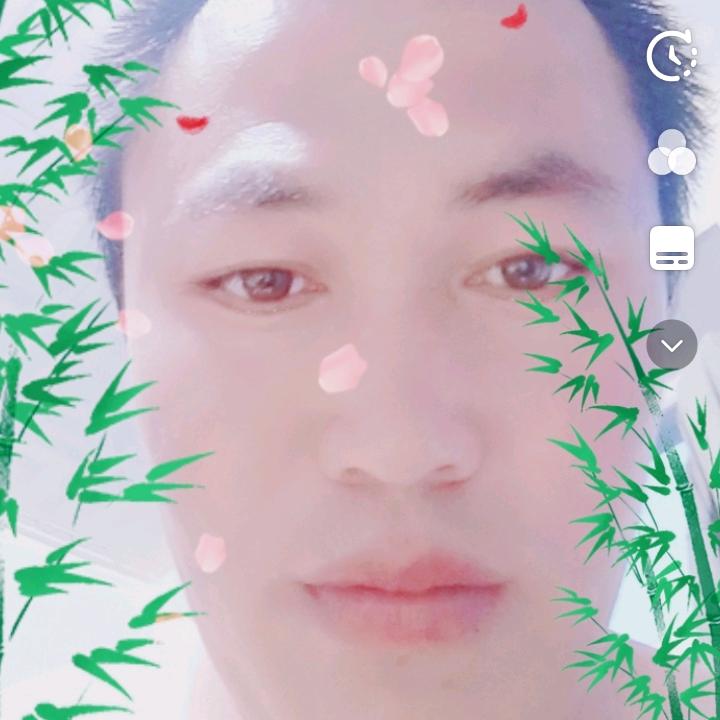 毒狼
