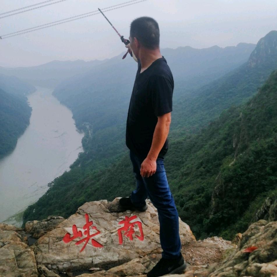 潘p