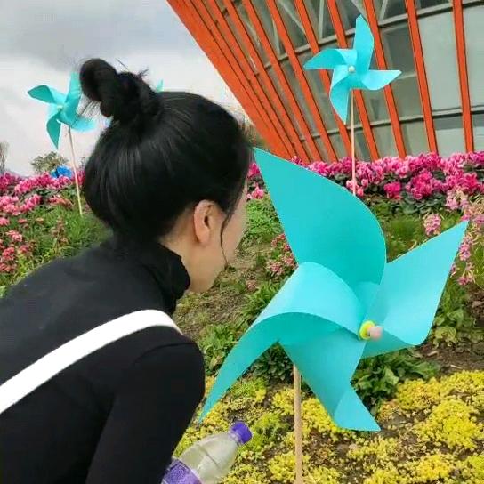 打盹的猫儿