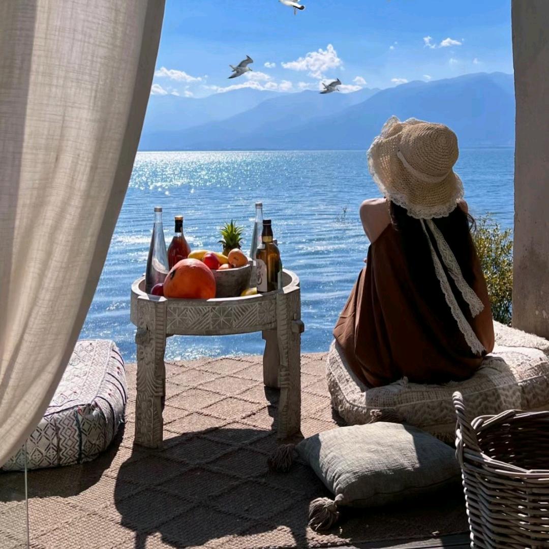 主播助理，回-关领取资料报名