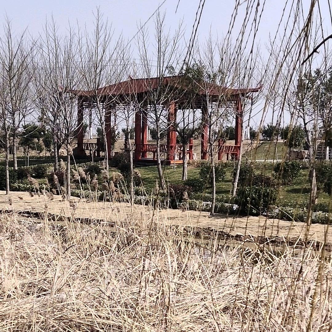 一生所爱