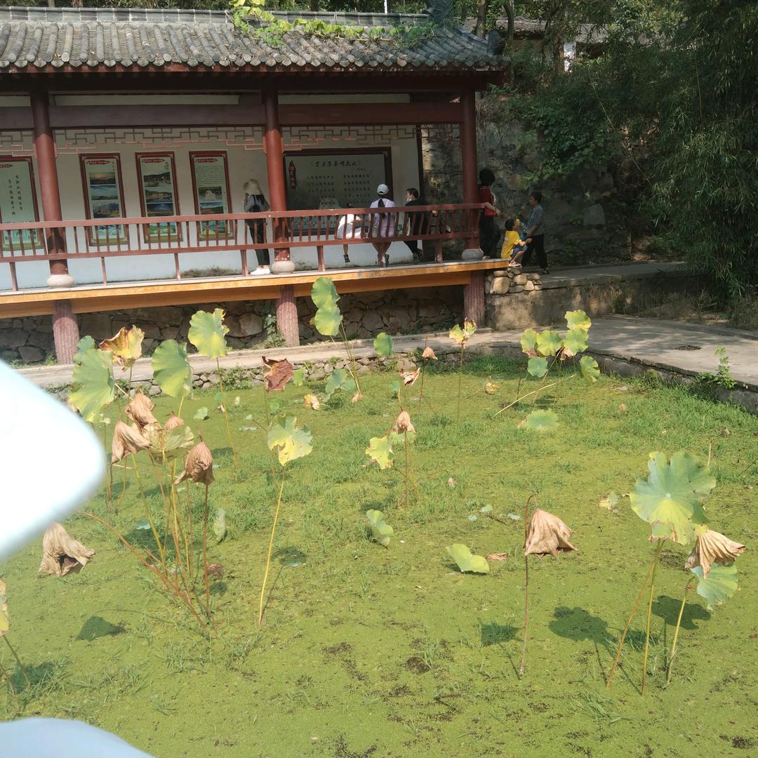 太空【优选好物在橱窗】