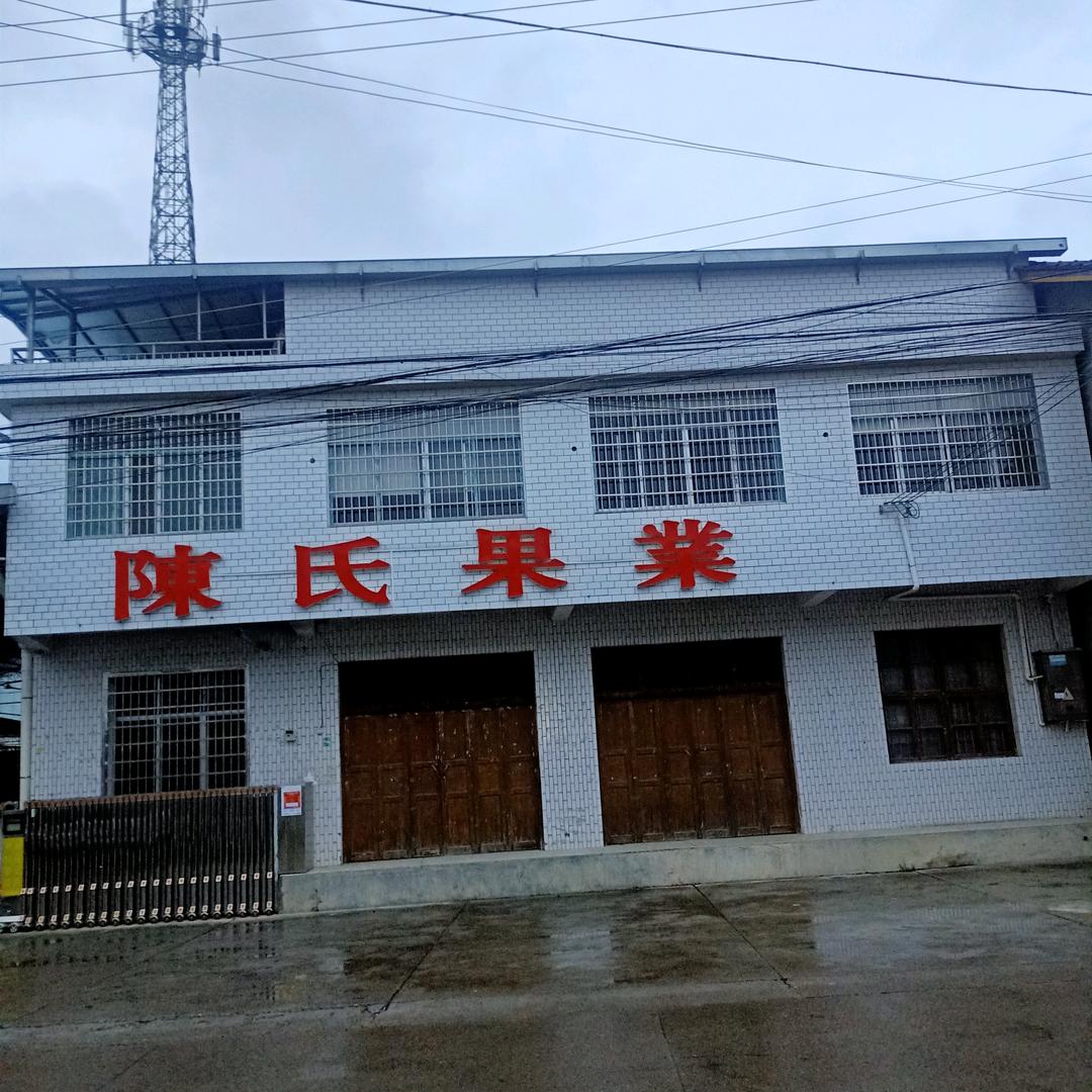 陈氏果业杨姐