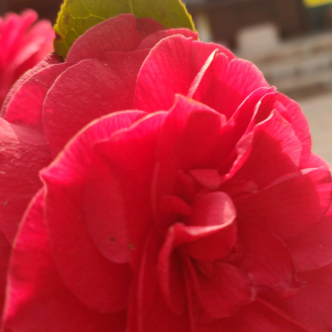 彩虹总在风雨后