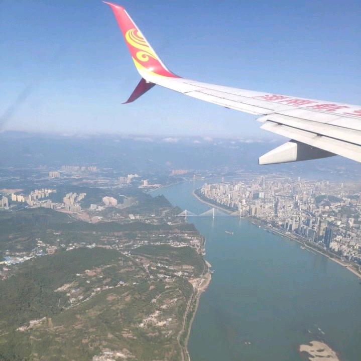 十二枂的樰