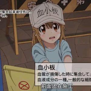 龙战在野