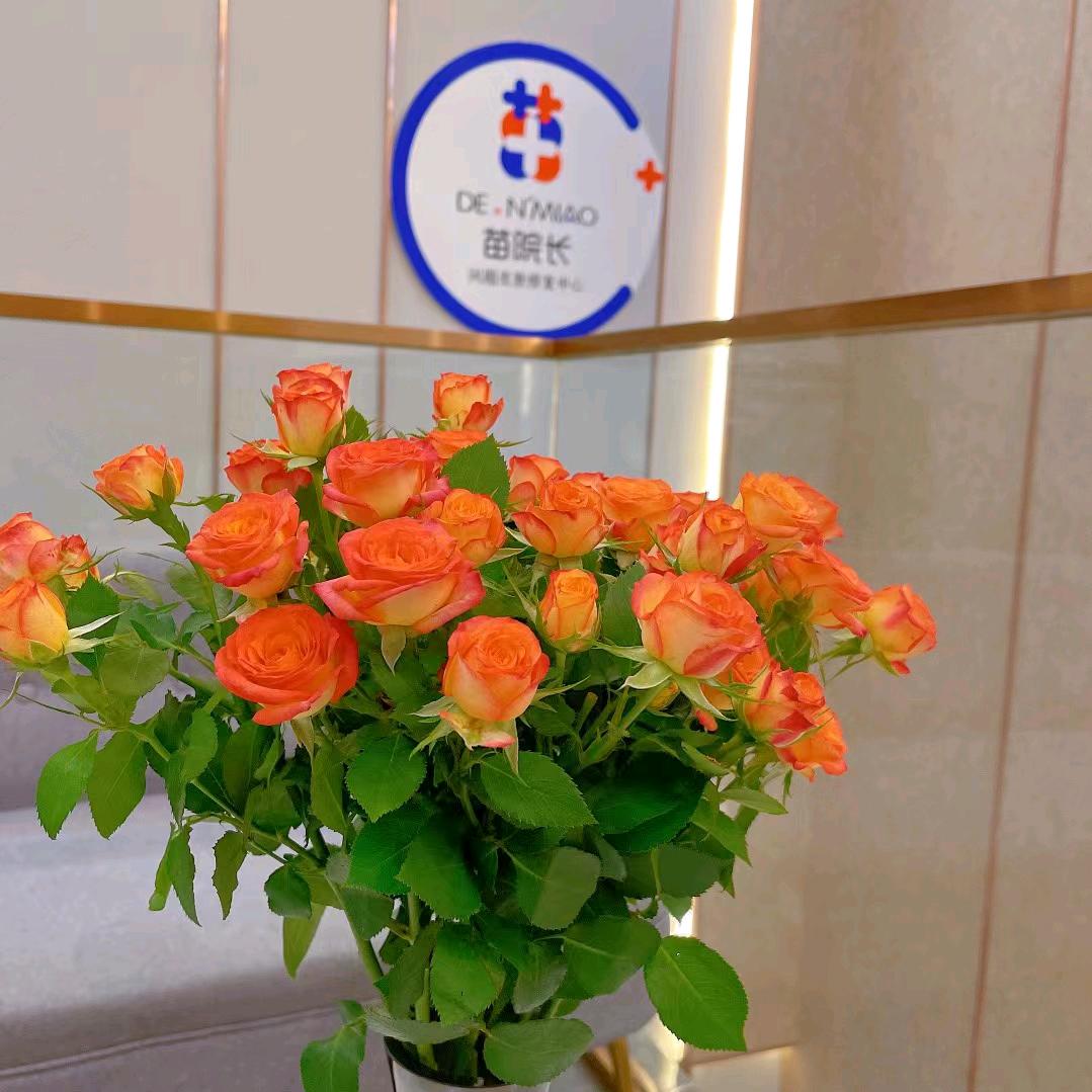 快乐人生(*^ω^*)