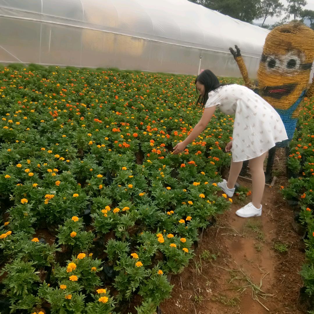 ☞不负遇见:@☜