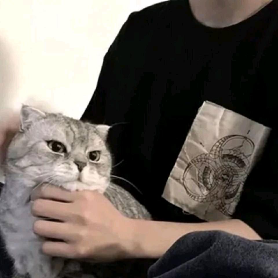 会翘头的杰米