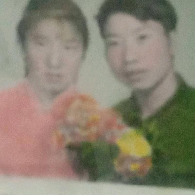 杨国宝
