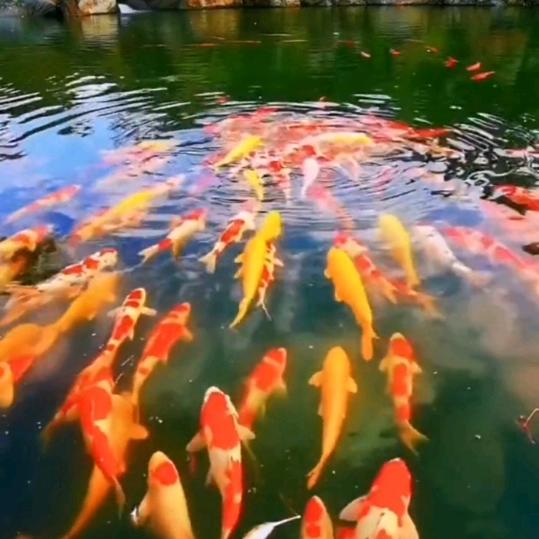 杰煜不一样的风景