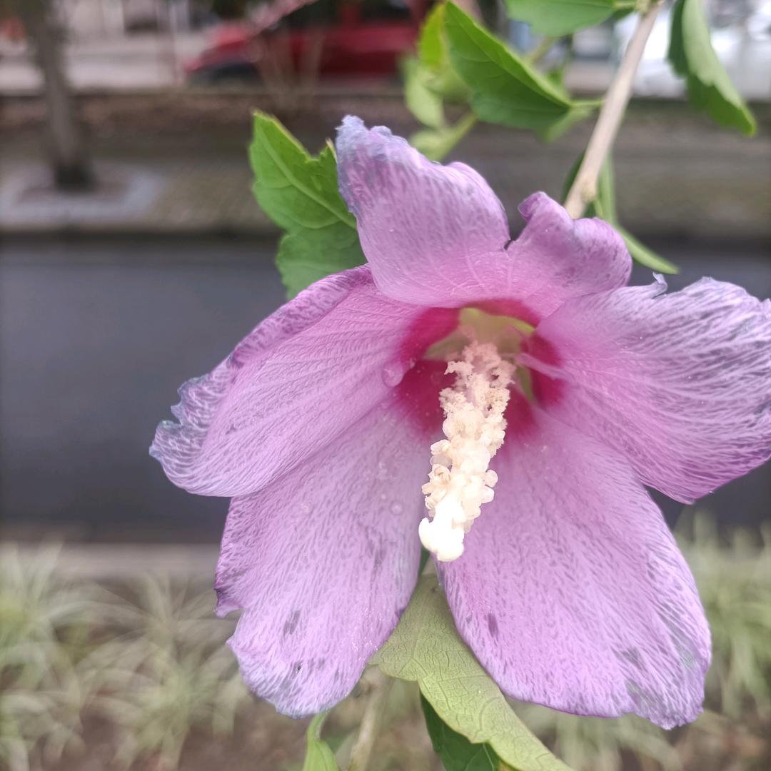 我是七零后
