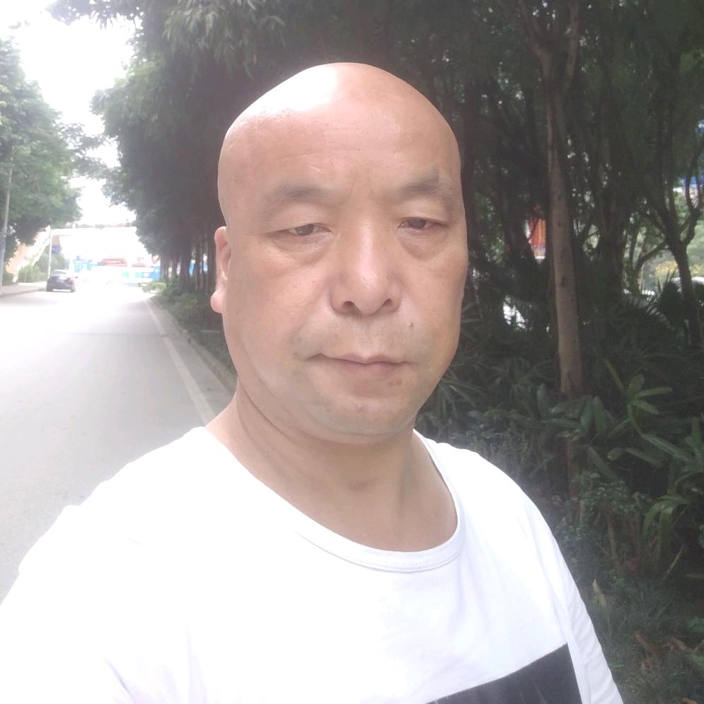 此生一诺