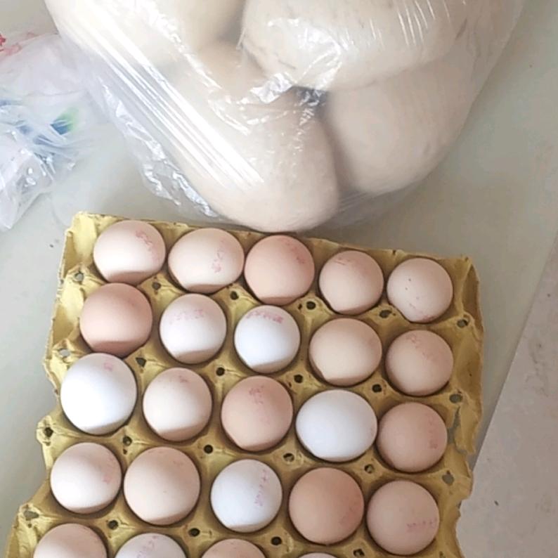 溜溜球《昨日梦》