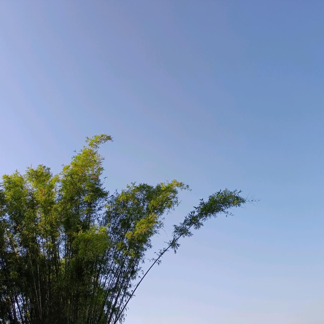 越越279900061