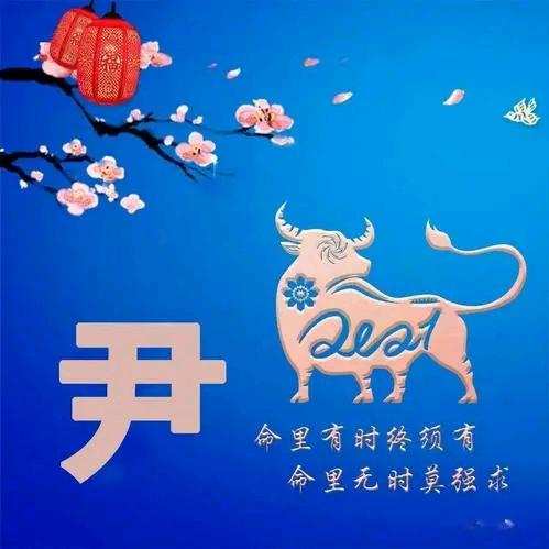 💕尹姓埋名💕