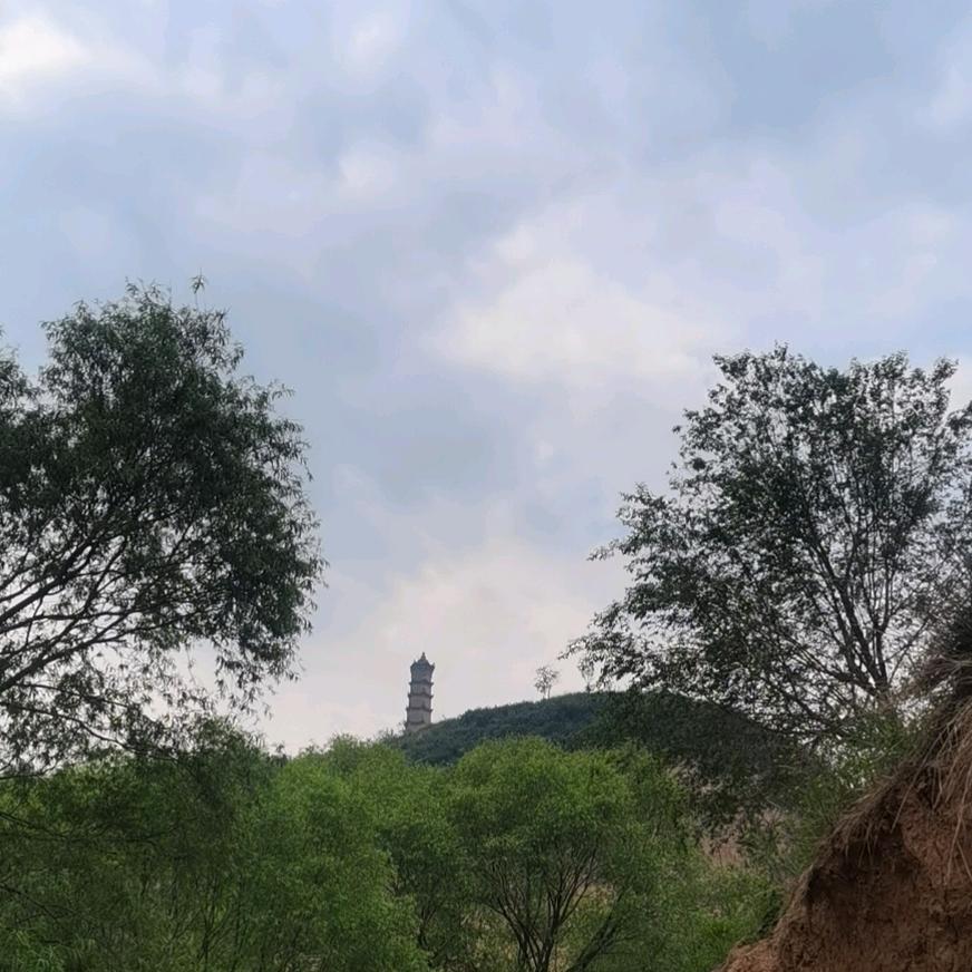 玫瑰香水