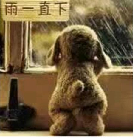 毛毛雨