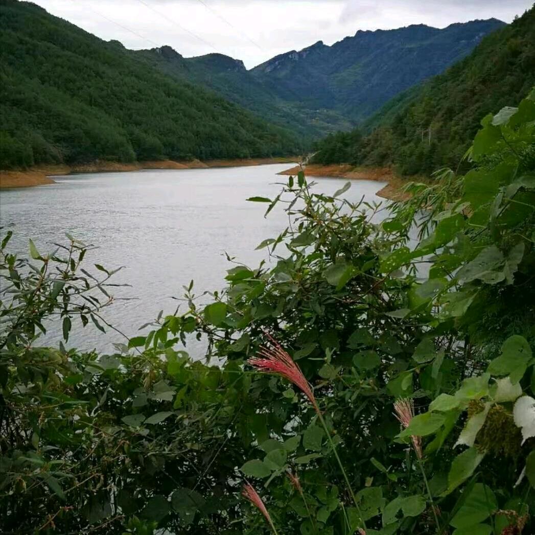 冰凝