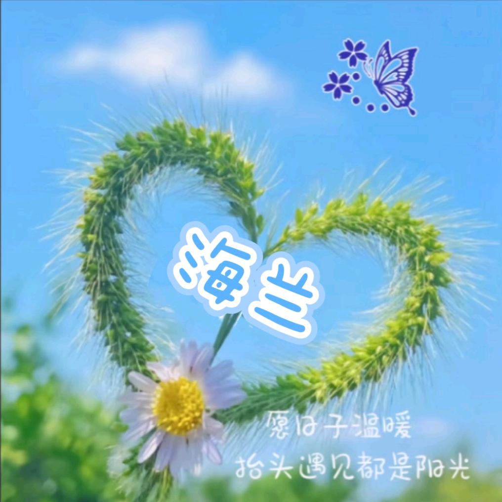 海兰🌱