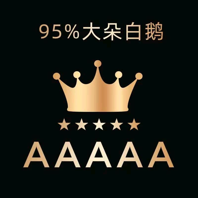 河南中鹅羽绒有限公司