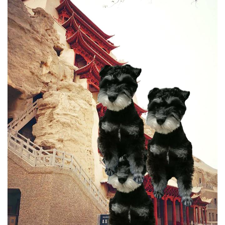Mg随缘