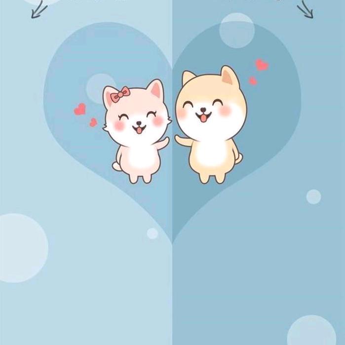 橘子🍊可酸可甜