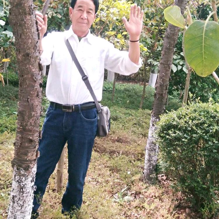 国宝熊猫，