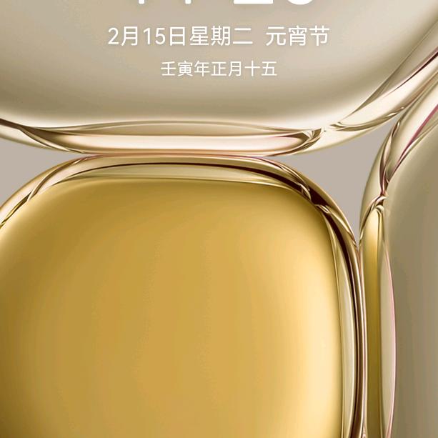 张金龙