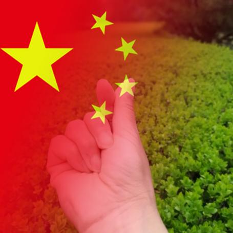 🍀归心🍀🌹快乐的风信子🌹