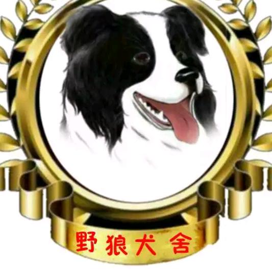 野狼犬舍