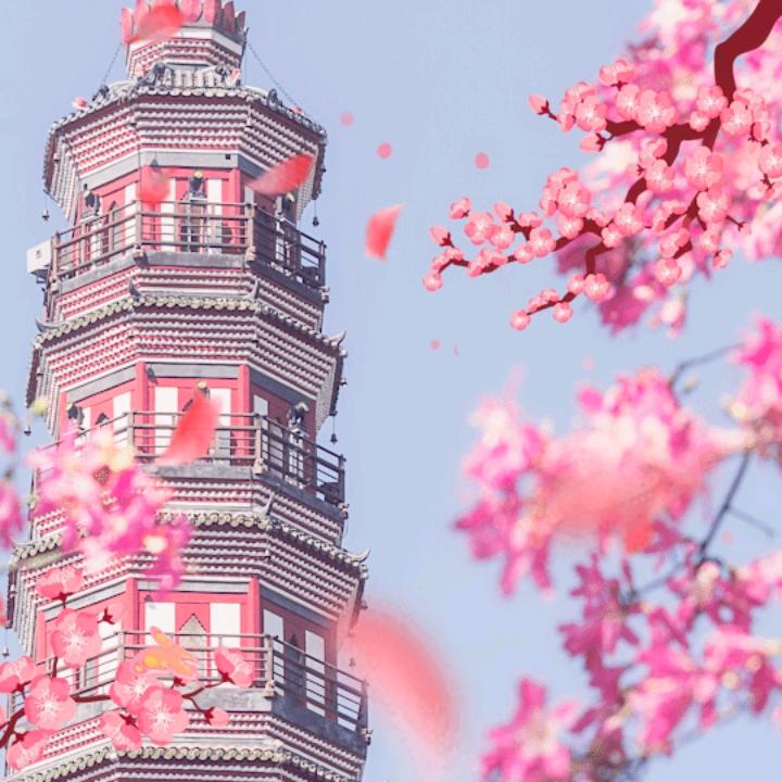 老留点