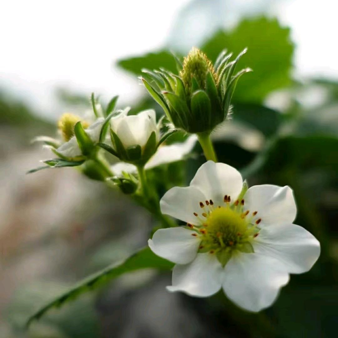 陆陆(橱窗有好物)