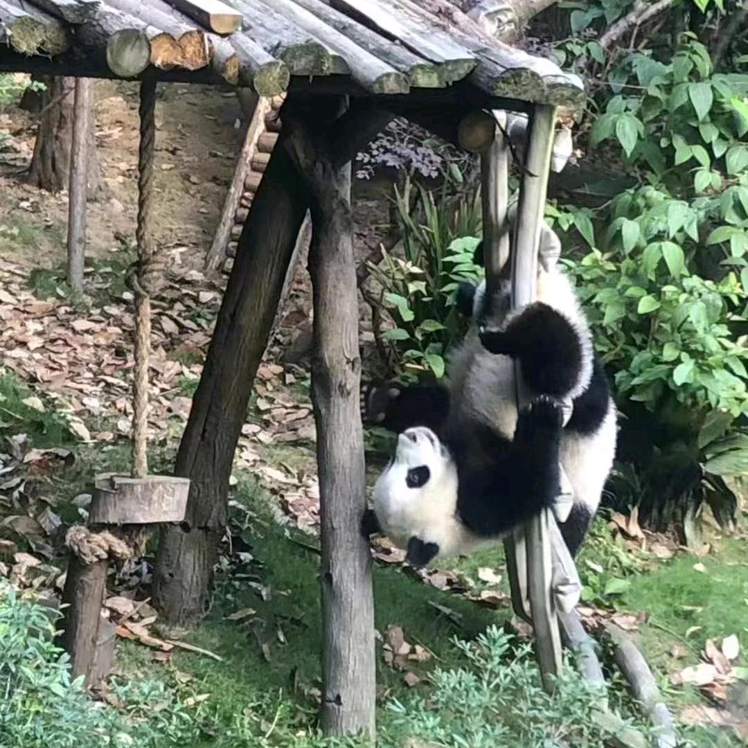 何必问