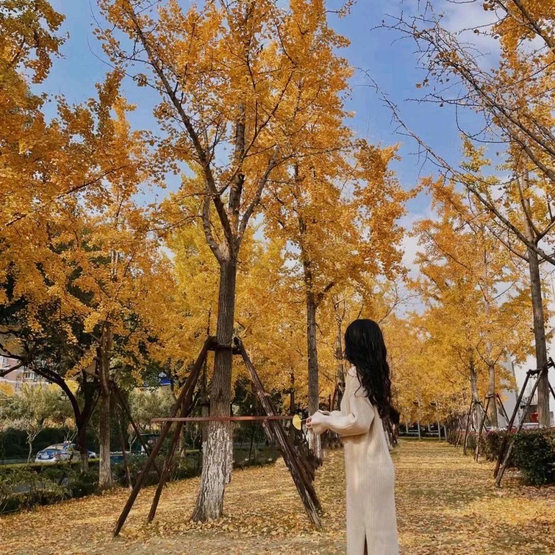 😊彩虹