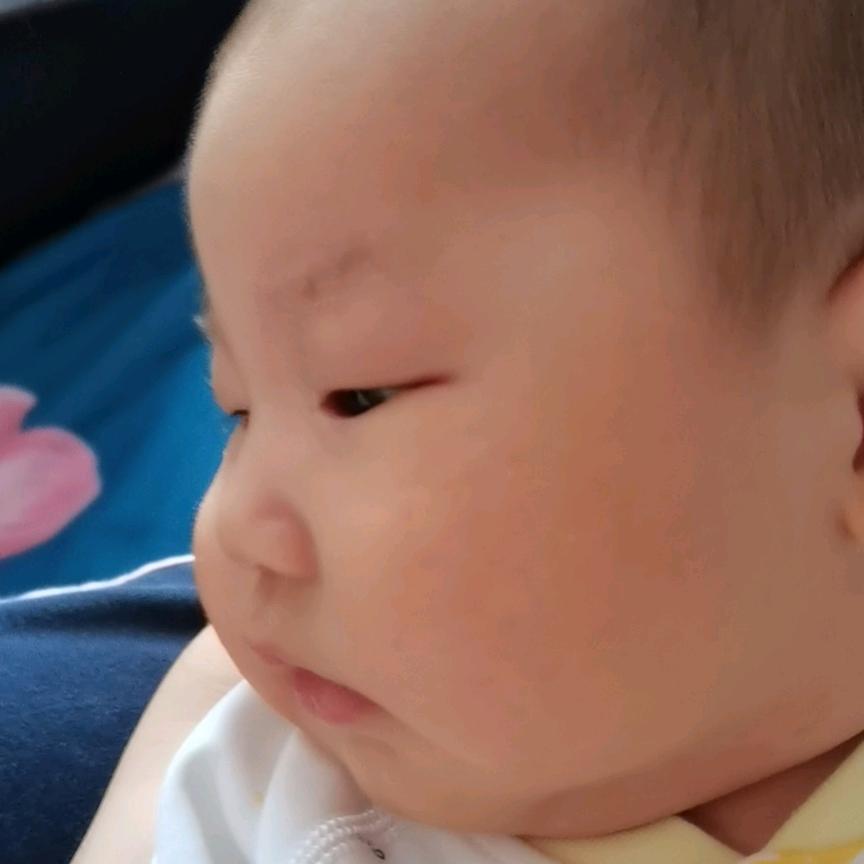 露露婧婧得麻麻
