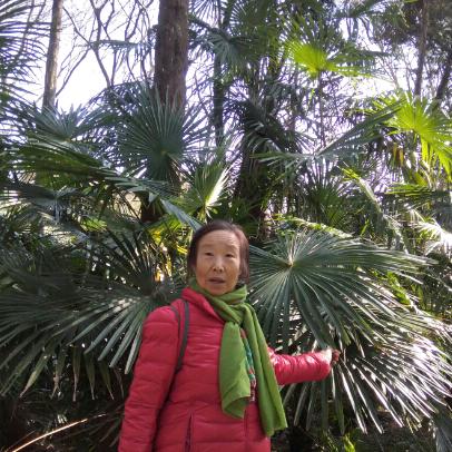 赵艳萍