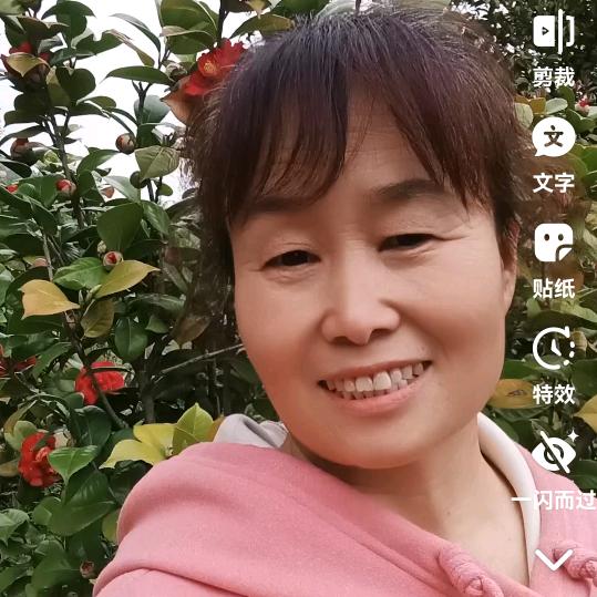 伊伊奶