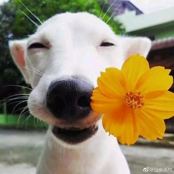 隆熙宝贝