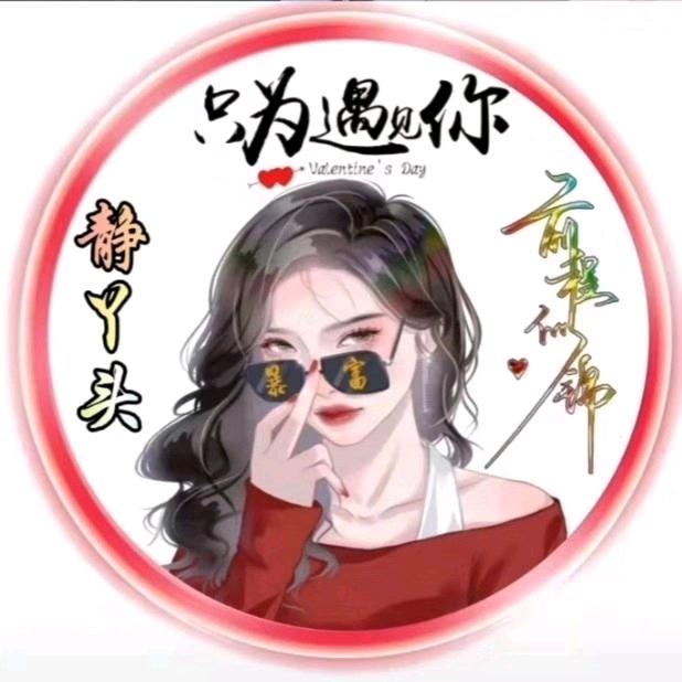 🇨🇳静丫头