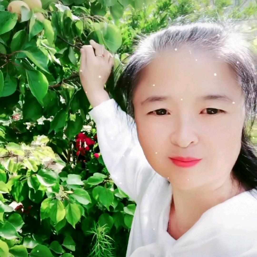 刘家玲姐