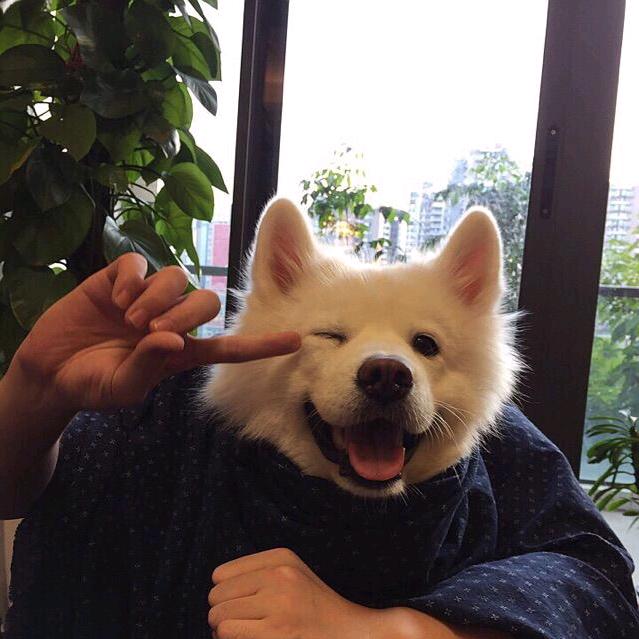 世纪末的魔术师、