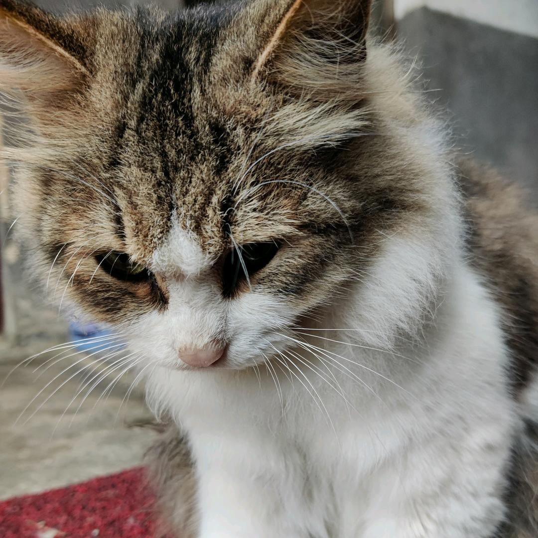 宁愿丑得别致，不愿美得雷同