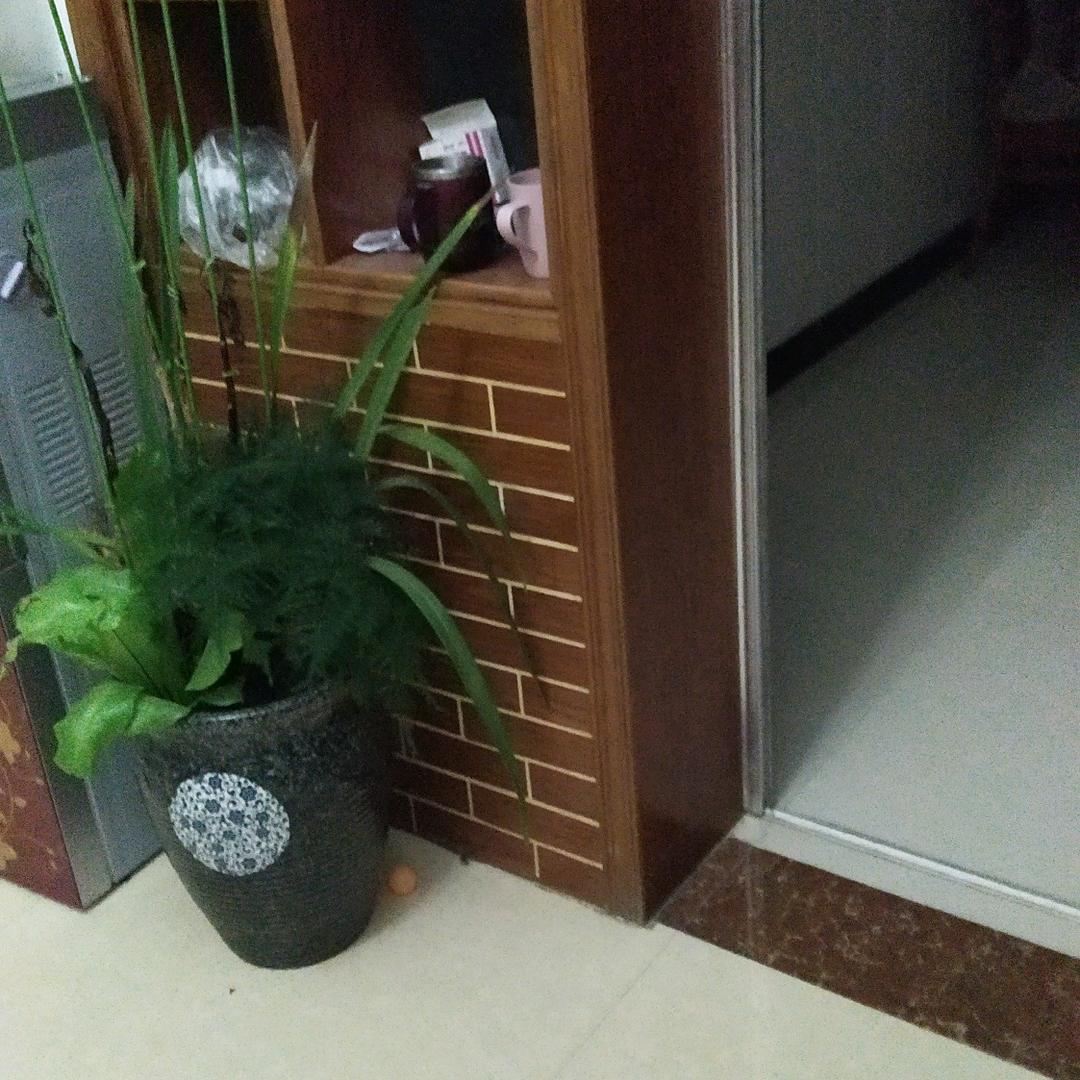 万事如意