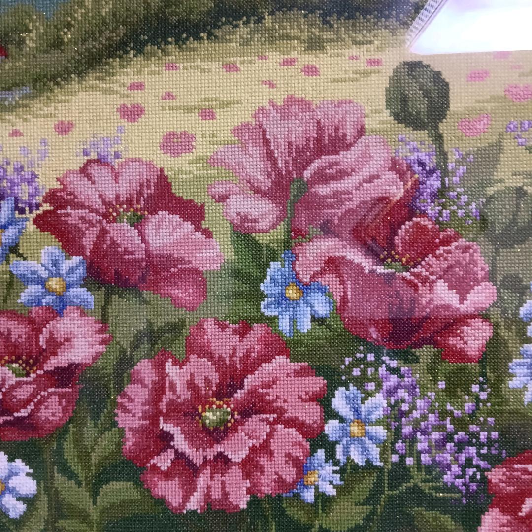 梅梅