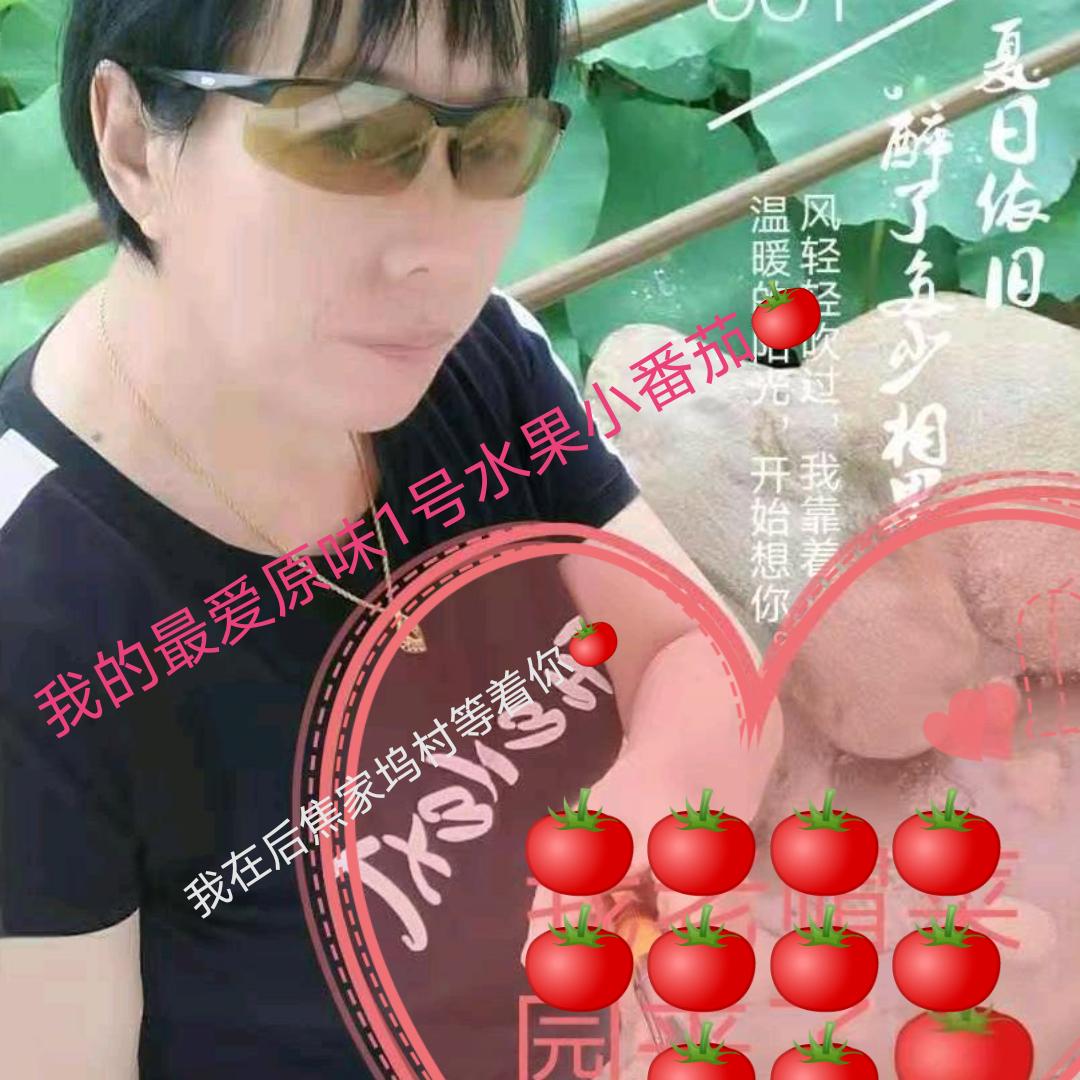 北京密乡晓云种植专业合作社