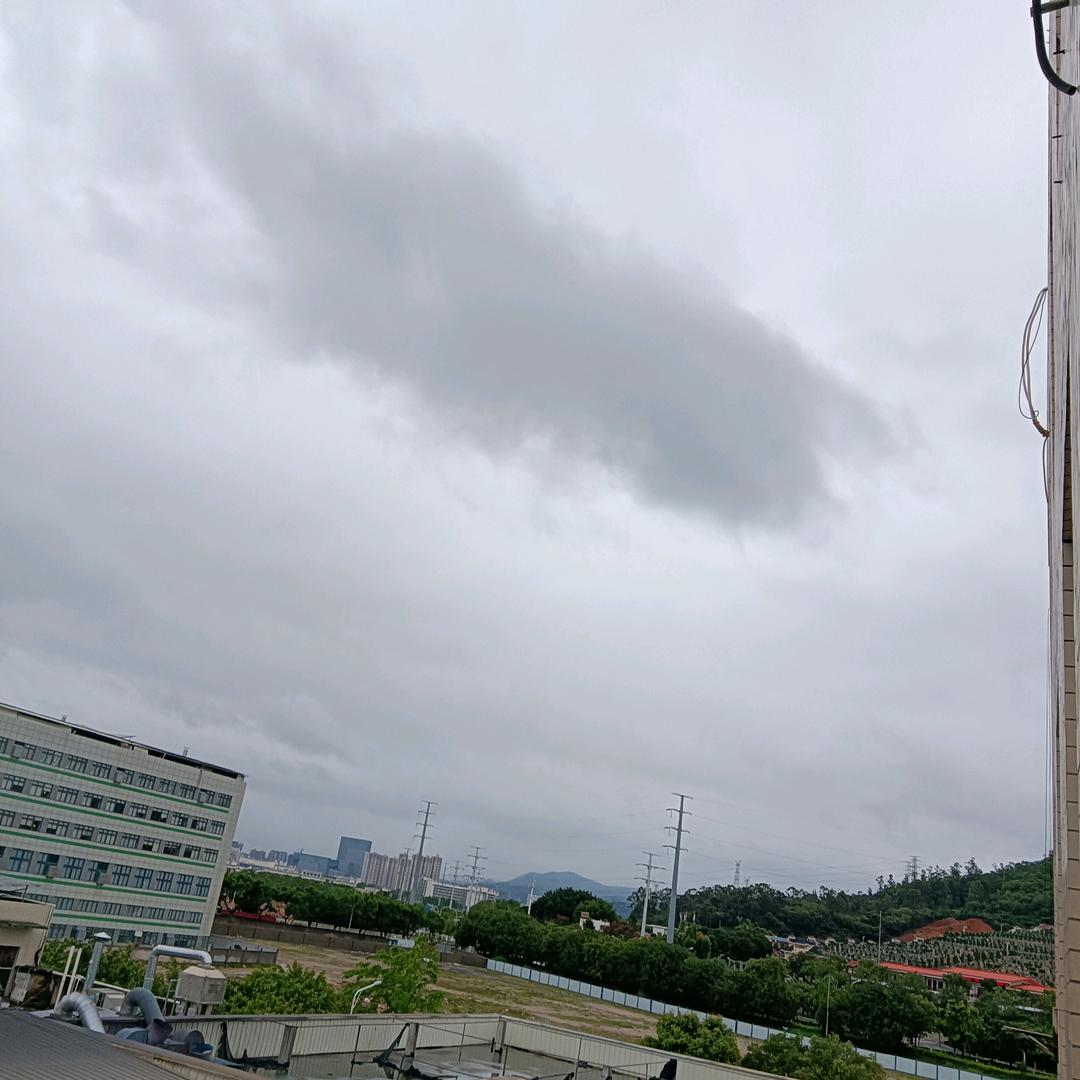 飞过雪域雄鹰