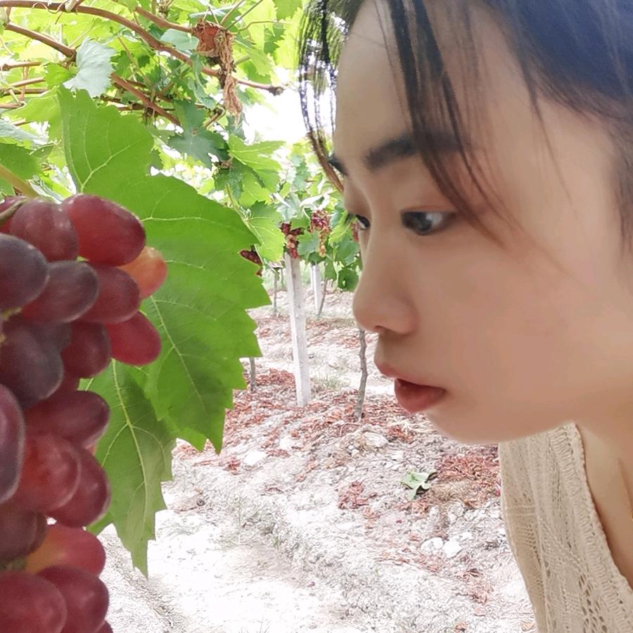 蒙蒙在摆摊（记录生活）